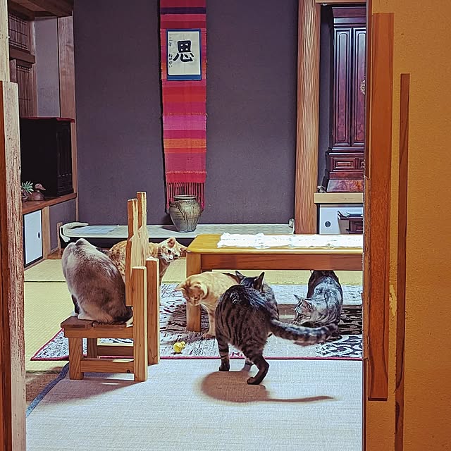 実例写真