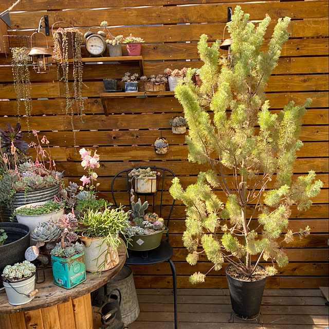 mintteaさんの部屋