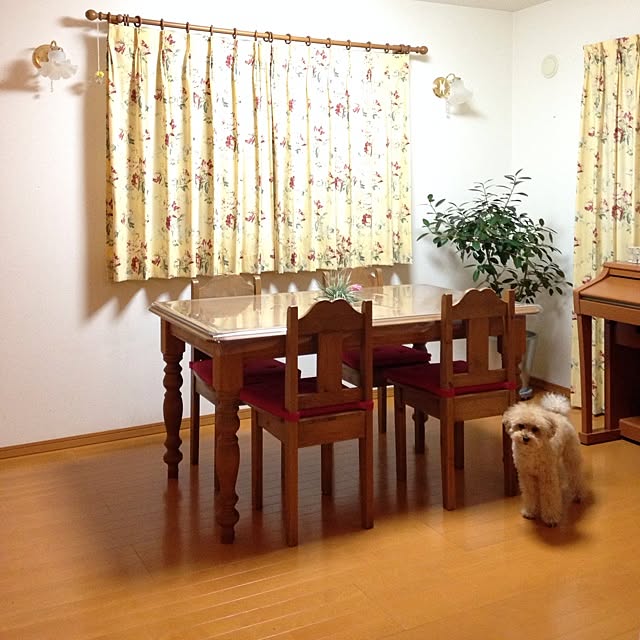 Kazurinさんの実例写真
