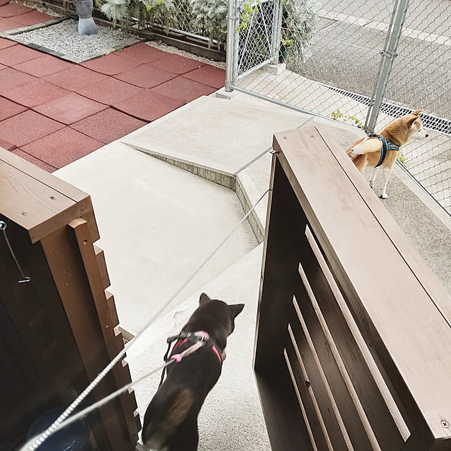 ponhanaさんの実例写真