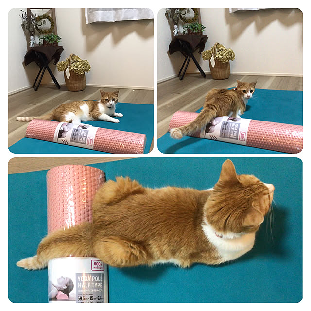 houenさんの実例写真