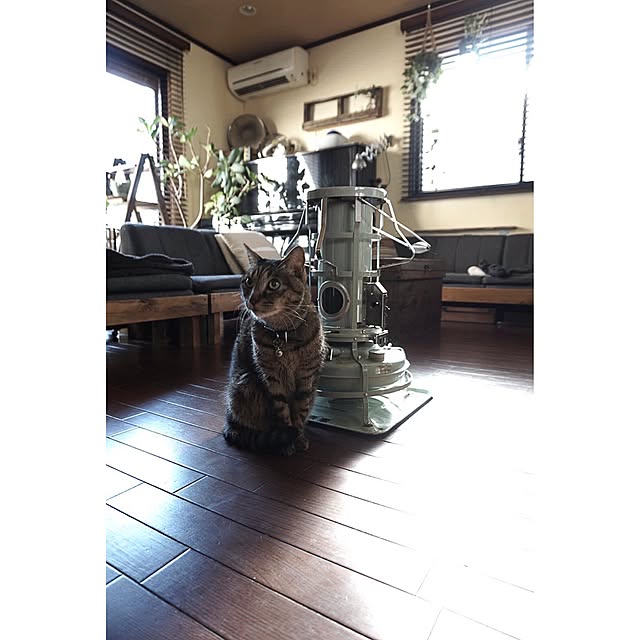 jnkaiさんの実例写真