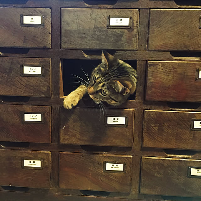 Mさんの実例写真