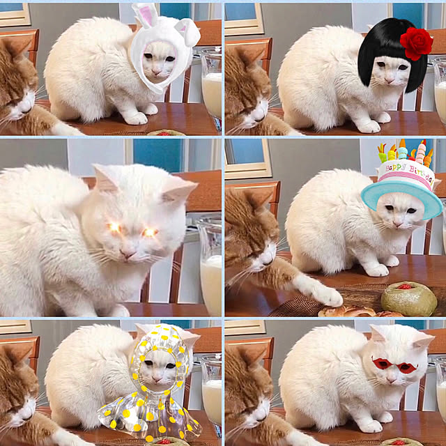 nyanko-beamさんの実例写真