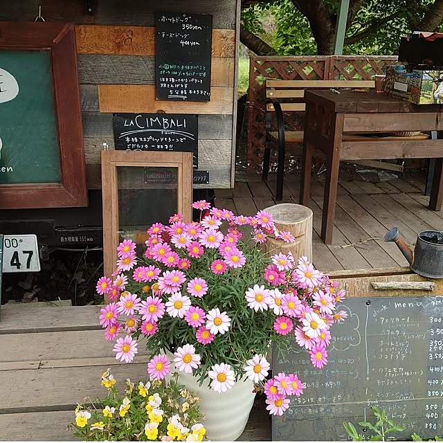 fukuさんの部屋