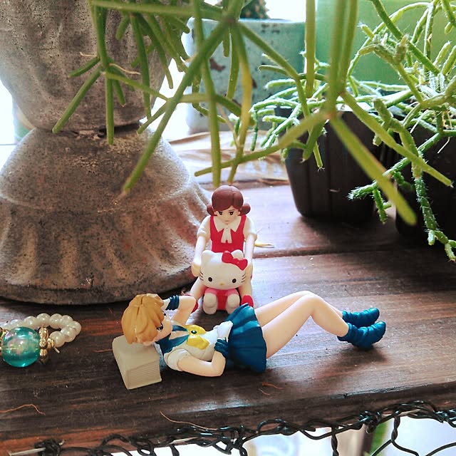 akr29さんの実例写真