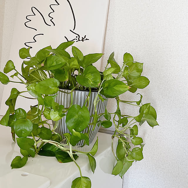 Riraさんの部屋