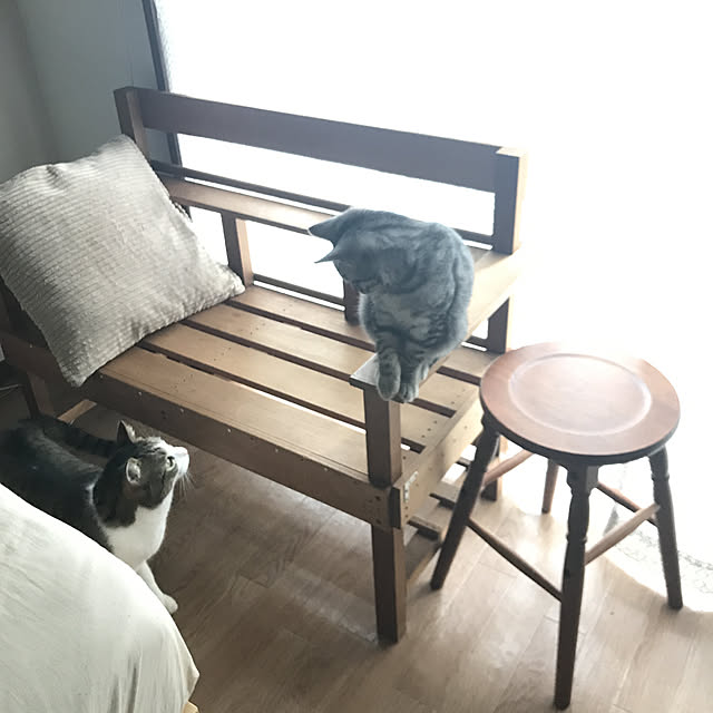 gataさんの実例写真