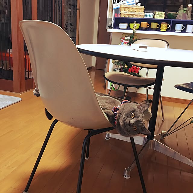 Shojiさんの実例写真