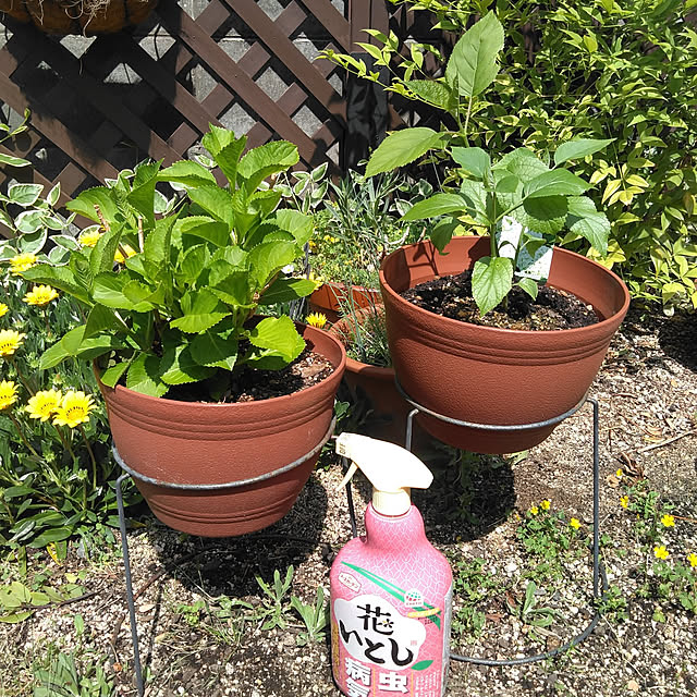 h.t.さんの実例写真
