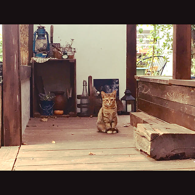 marusanさんの実例写真