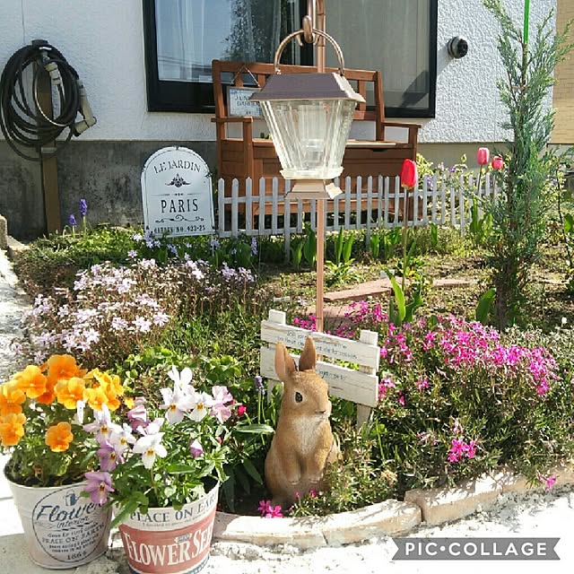 Midoriさんの実例写真