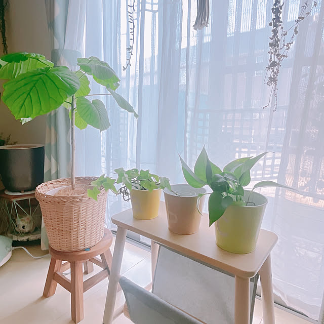 akiko-ovさんの部屋