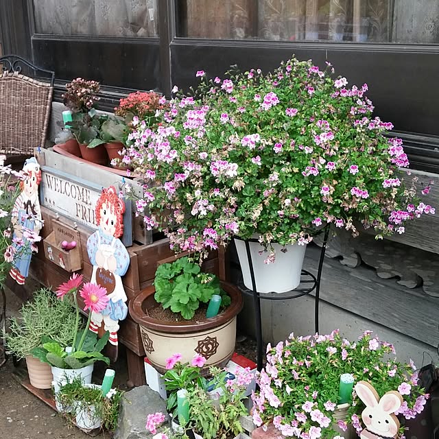 midoriさんの実例写真