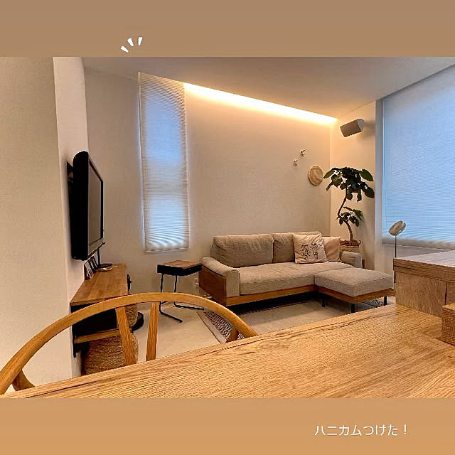 lrikaさんの部屋