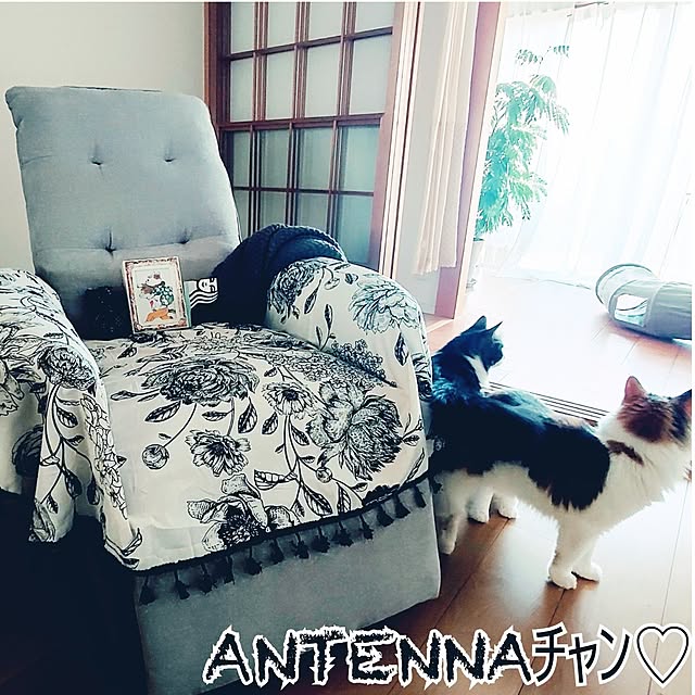 +CHIHARU+さんの実例写真