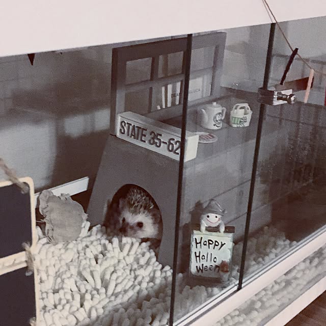 saokoさんの実例写真