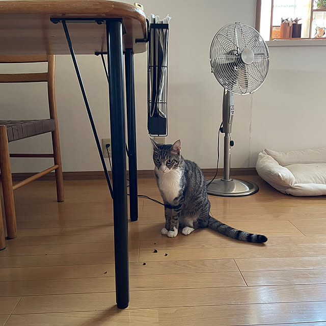nobikoさんの部屋