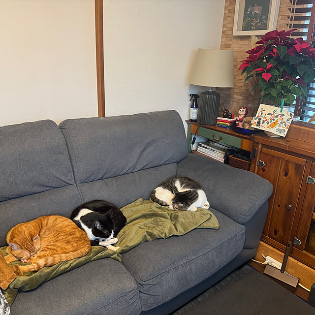 okyosan101さんの部屋