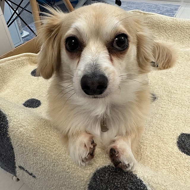 Rainyさんの部屋