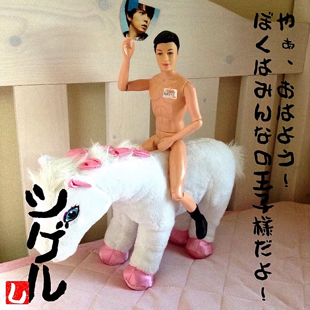 aohaさんの実例写真