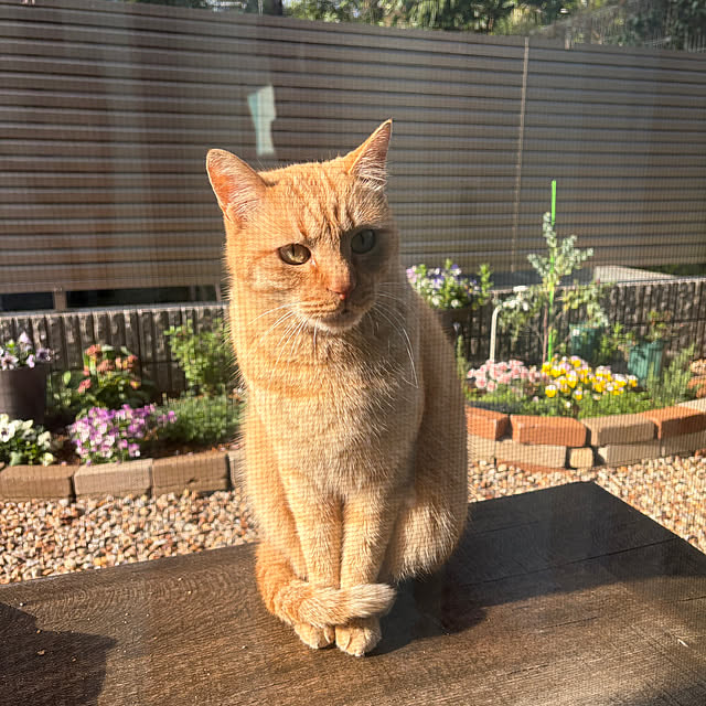 tiroさんの実例写真