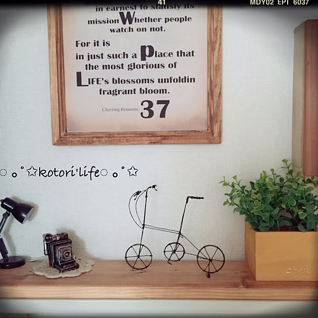 kotoriさんの実例写真