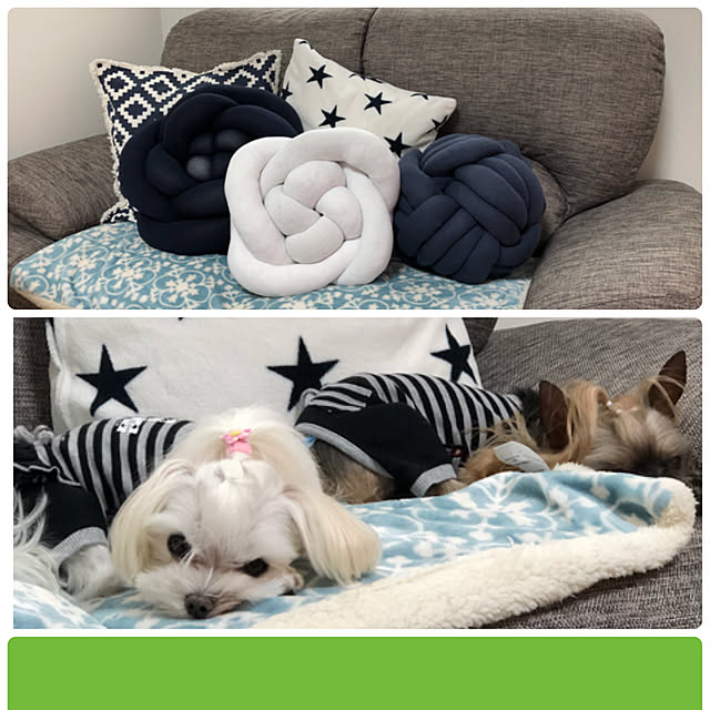 loliontoaliceveさんの実例写真