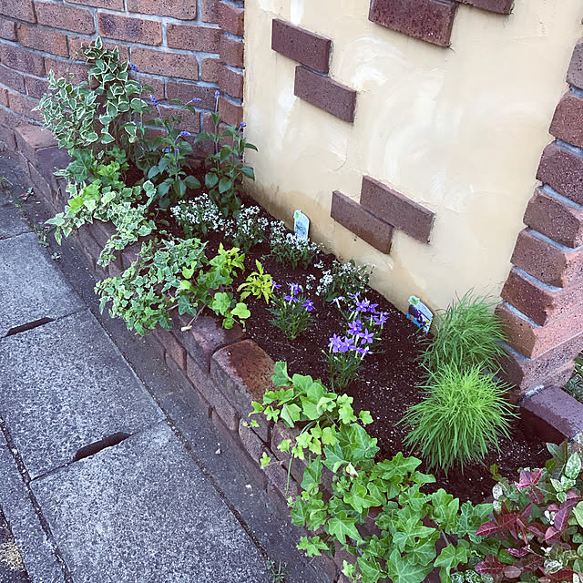 Yokoさんの実例写真