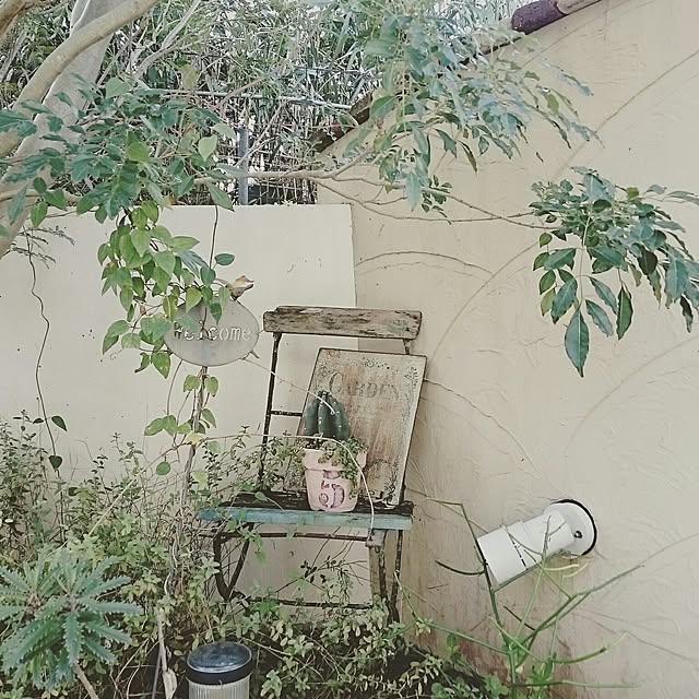 bu-bu-chanさんの実例写真