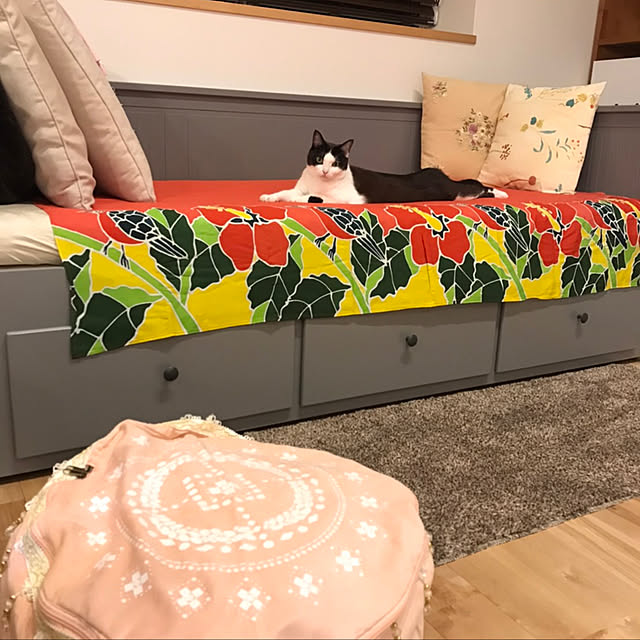 hanaさんの実例写真