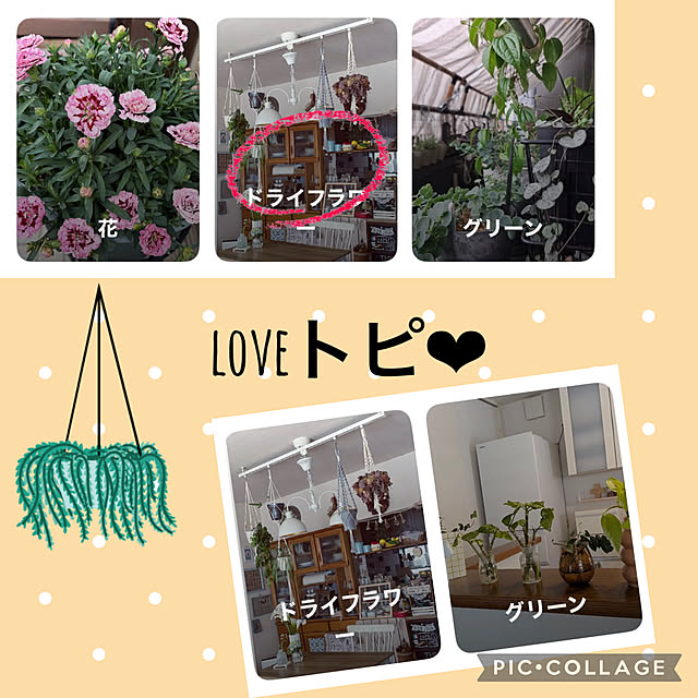 CoCo0617さんの実例写真