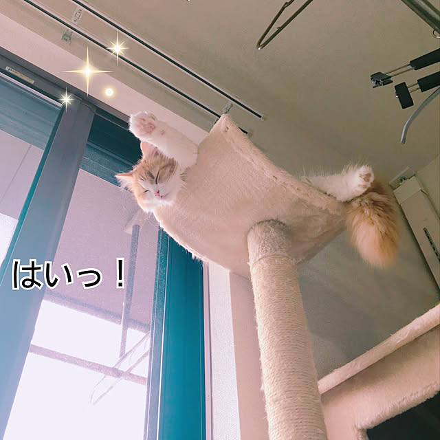 H.Tさんの実例写真