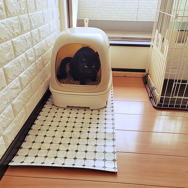 396629manaさんの実例写真