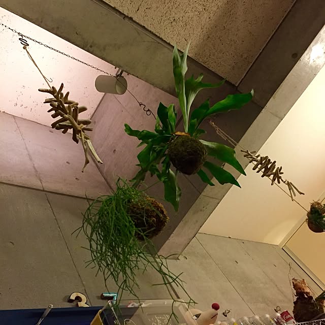 Hiroshiさんの実例写真