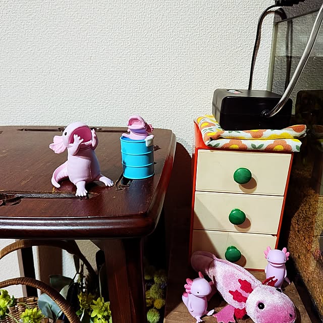 umeboshicyanさんの部屋