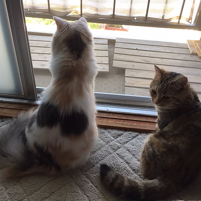 keibooさんの実例写真