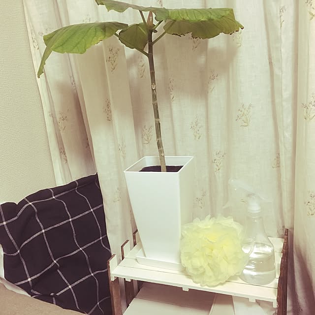 Mariさんの実例写真