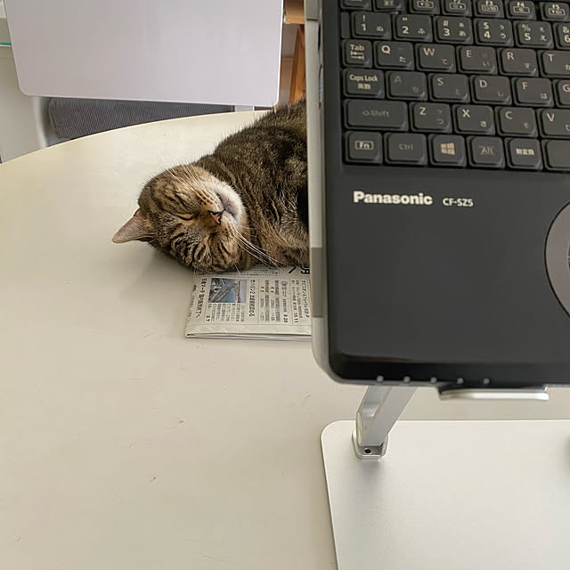 mikomaruさんの実例写真