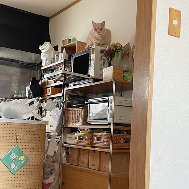 nicoさんの実例写真