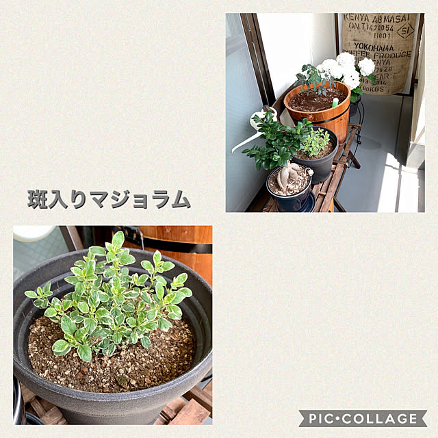 yasuyo66さんの実例写真