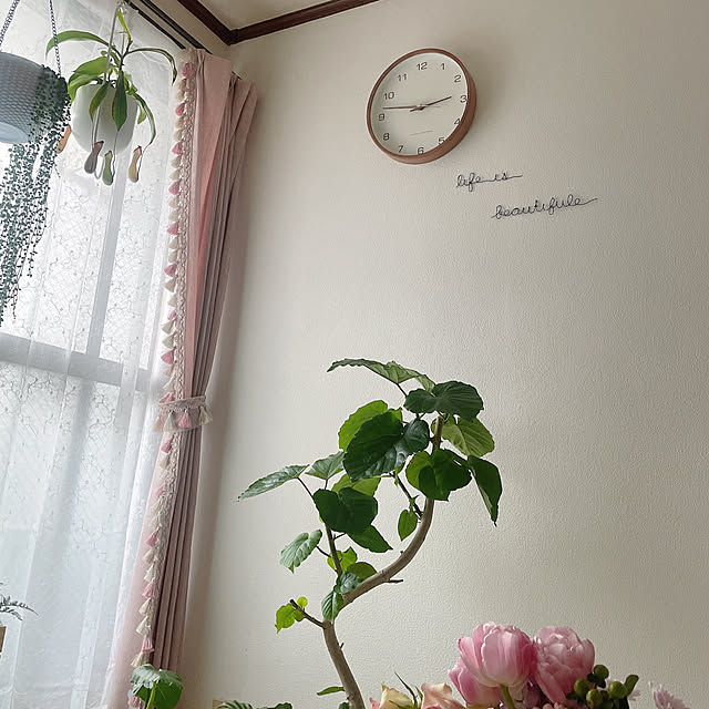 nagayamaさんの実例写真