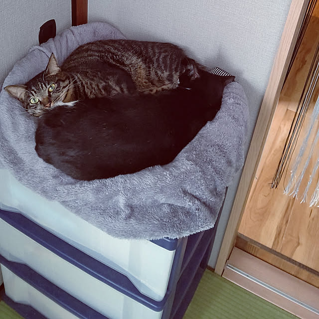 hihaさんの実例写真