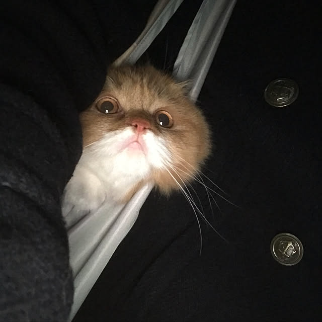 m.kantoh18_mikkoさんの実例写真