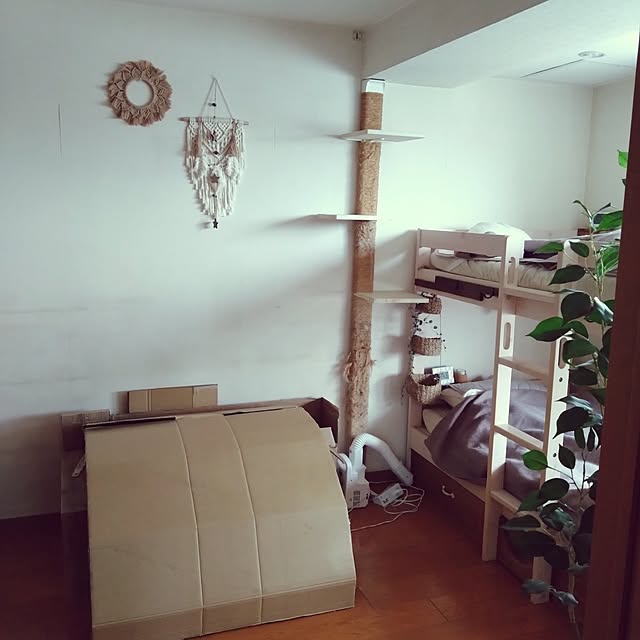 luke.solさんの部屋