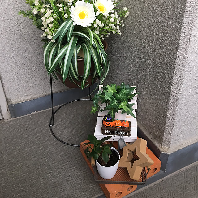 bischutaさんの実例写真
