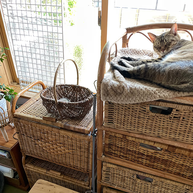 niko.mamさんの実例写真