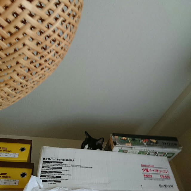 okyosan101さんの実例写真