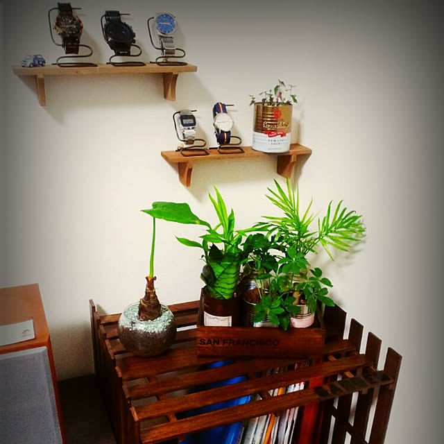 棚/一人暮らし/男前/DIY/賃貸...などのインテリア実例 - 2015-04-08 01:37:03
