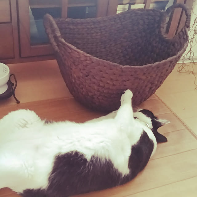minaminamiさんの実例写真